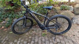 Cube Reaction Hybrid SL 500 (Modelljahr 2019)  29 Zoll E-MTB