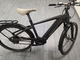 E-Bike Ibex -eAvantgarde Neo Gates - 2019