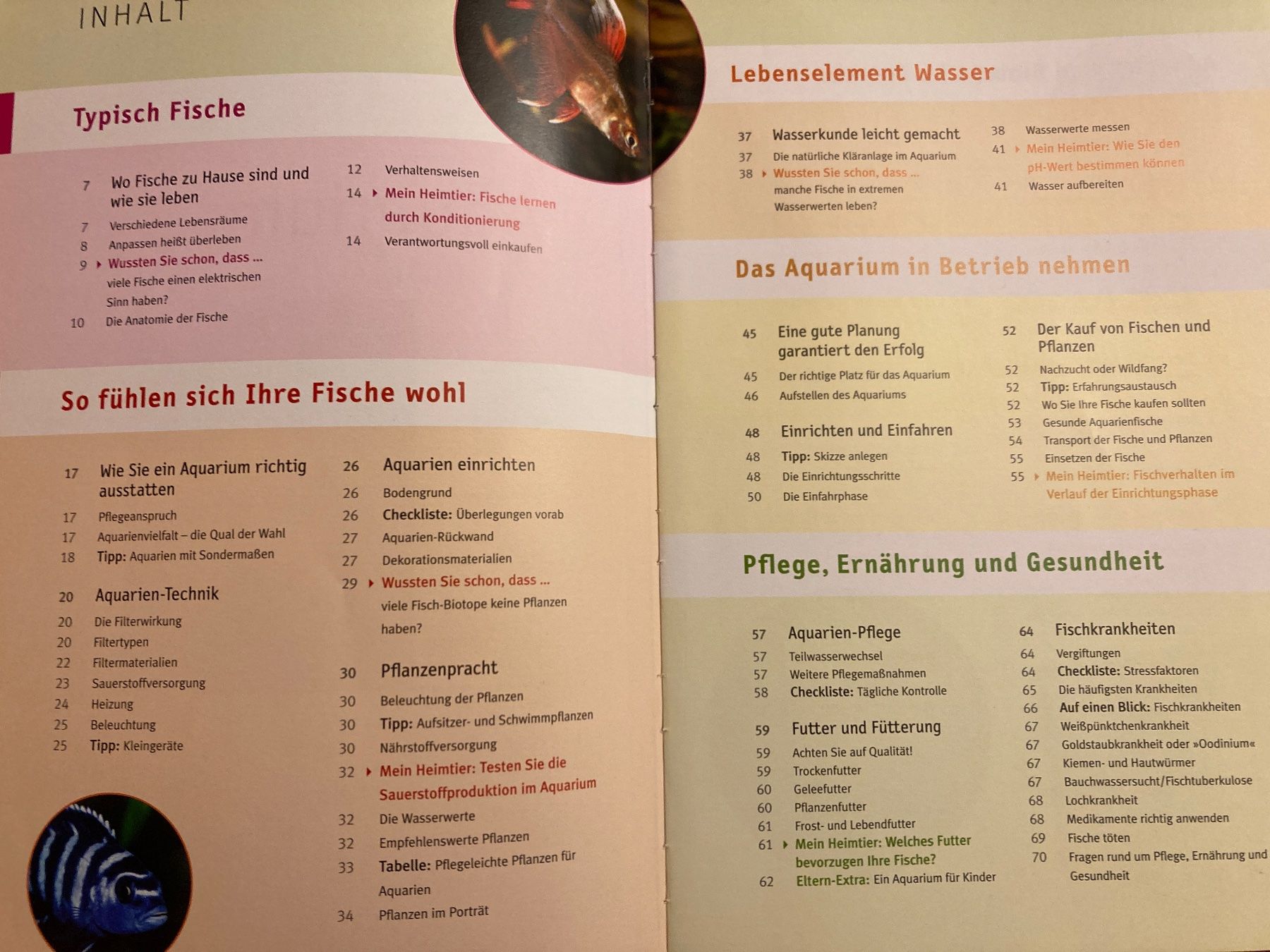 Bücher: Mein Aquarium – Gebraucht aus Baden von Yoyo1 2
