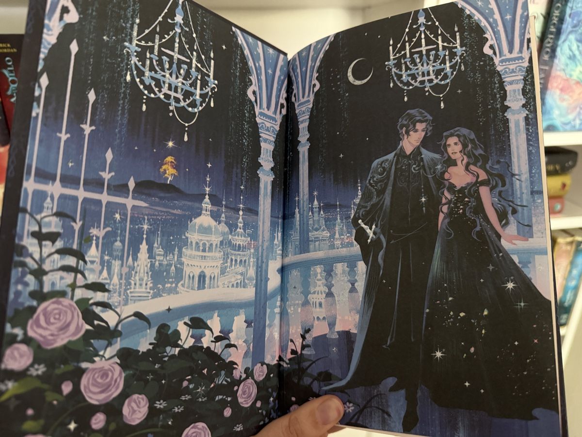 Libri: Fairyloot A feather so black & A crown so silver – Nuovo (secondo la descrizione) da Netstal venduto da Claudia.gl 9