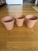 3 Blumentöpfe mit Untersetzer