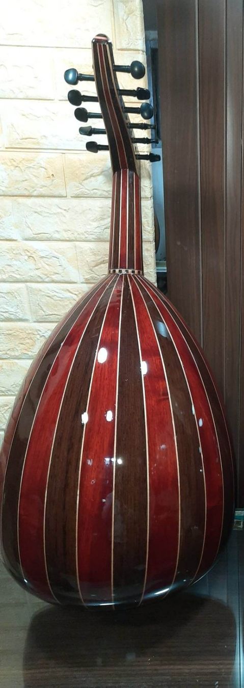 Strumenti musicali: PROFESSIONAL OUD – Nuovo (secondo la descrizione) da Fahrwangen venduto da FairBleiben 1