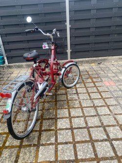 Velos: Senioren E-Tribike PFAU-TEC Primo – Gebraucht aus Rekingen AG von witch52 1