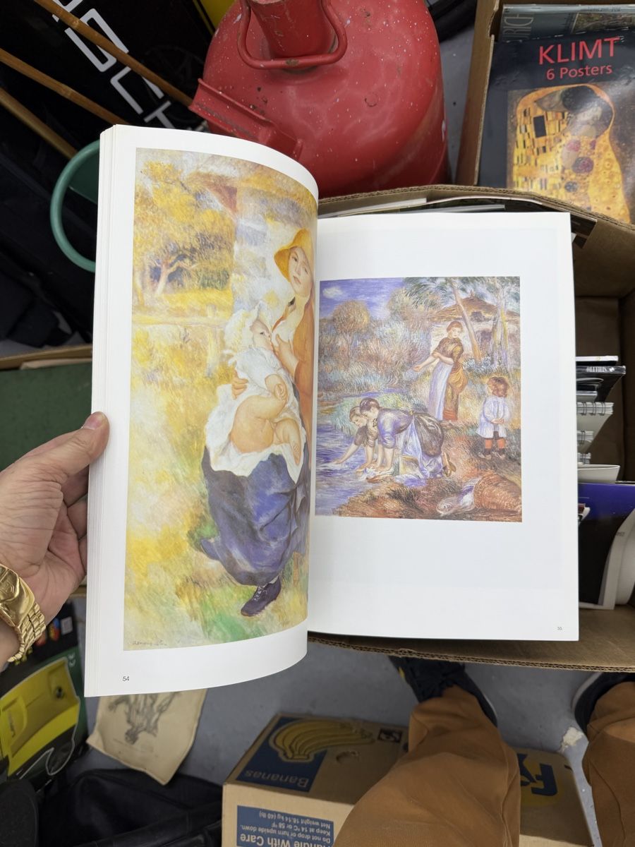 Libri: Michael M. Stanić Renoir – Usato da Wettingen venduto da NickInc 1