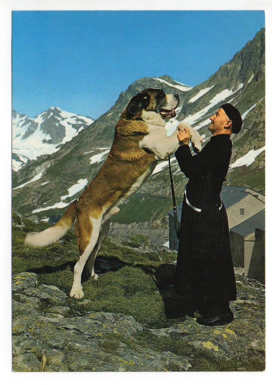 Cartoline postali: COL DU GRAND-SAINT BERNARD Moine + Chien – Usato da Jona venduto da philajona