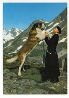 COL DU GRAND-SAINT BERNARD Moine + Chien