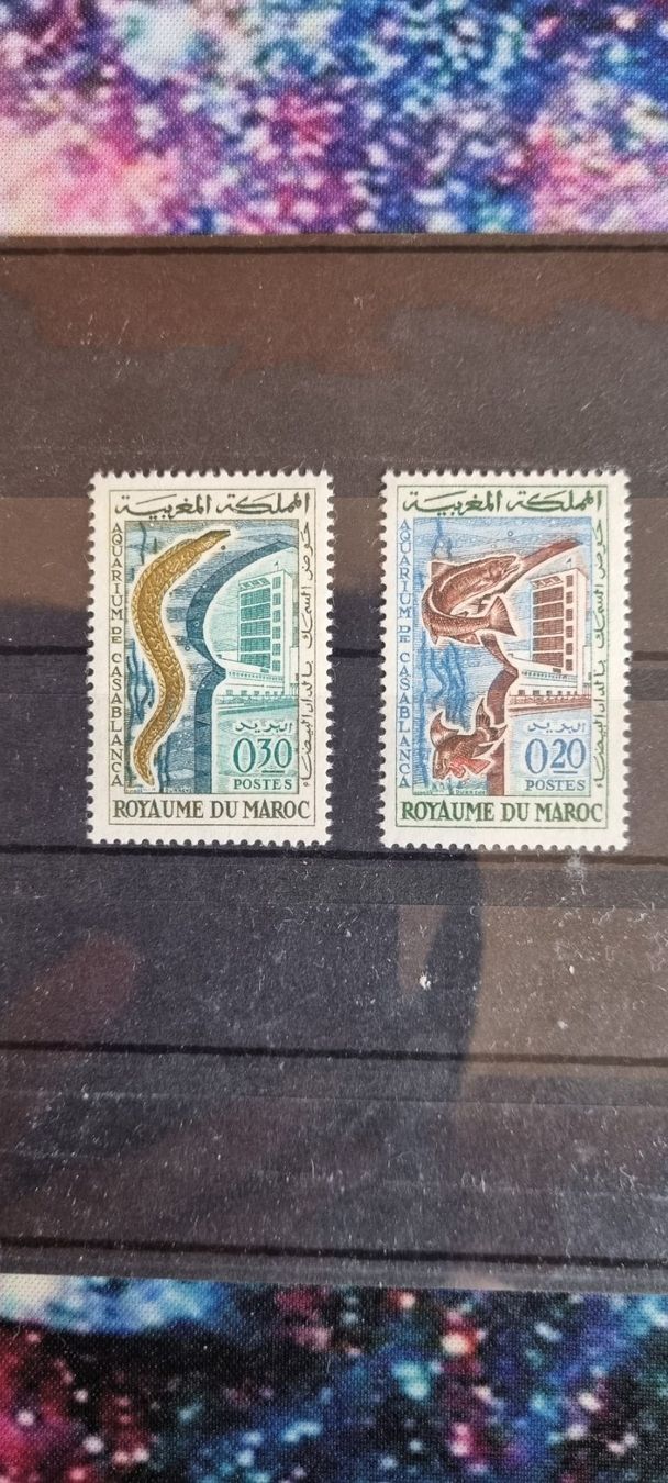 Tutti i francobolli: MAROKKO 1962 * – Usato da Dintikon venduto da bonita099