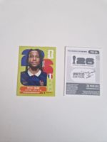 Panini Sticker FRA14