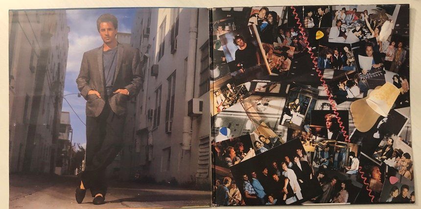 Dischi in vinile: Don Johnson - Heartbeat (LP) – Usato da Grüningen venduto da azulvinyl 2