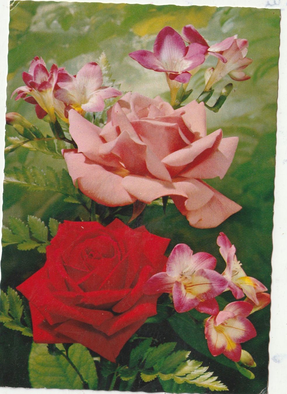 Cartoline postali: Blumenkarte – Usato da Lumbrein venduto da made02