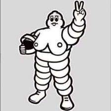 Profile image of FlyHi99