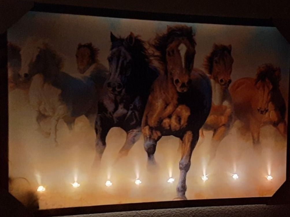 Poster & Bilder: The Horses LED Kunstbild gross / Pferde – Neu und originalverpackt aus Kilchberg ZH von ruedi34 2