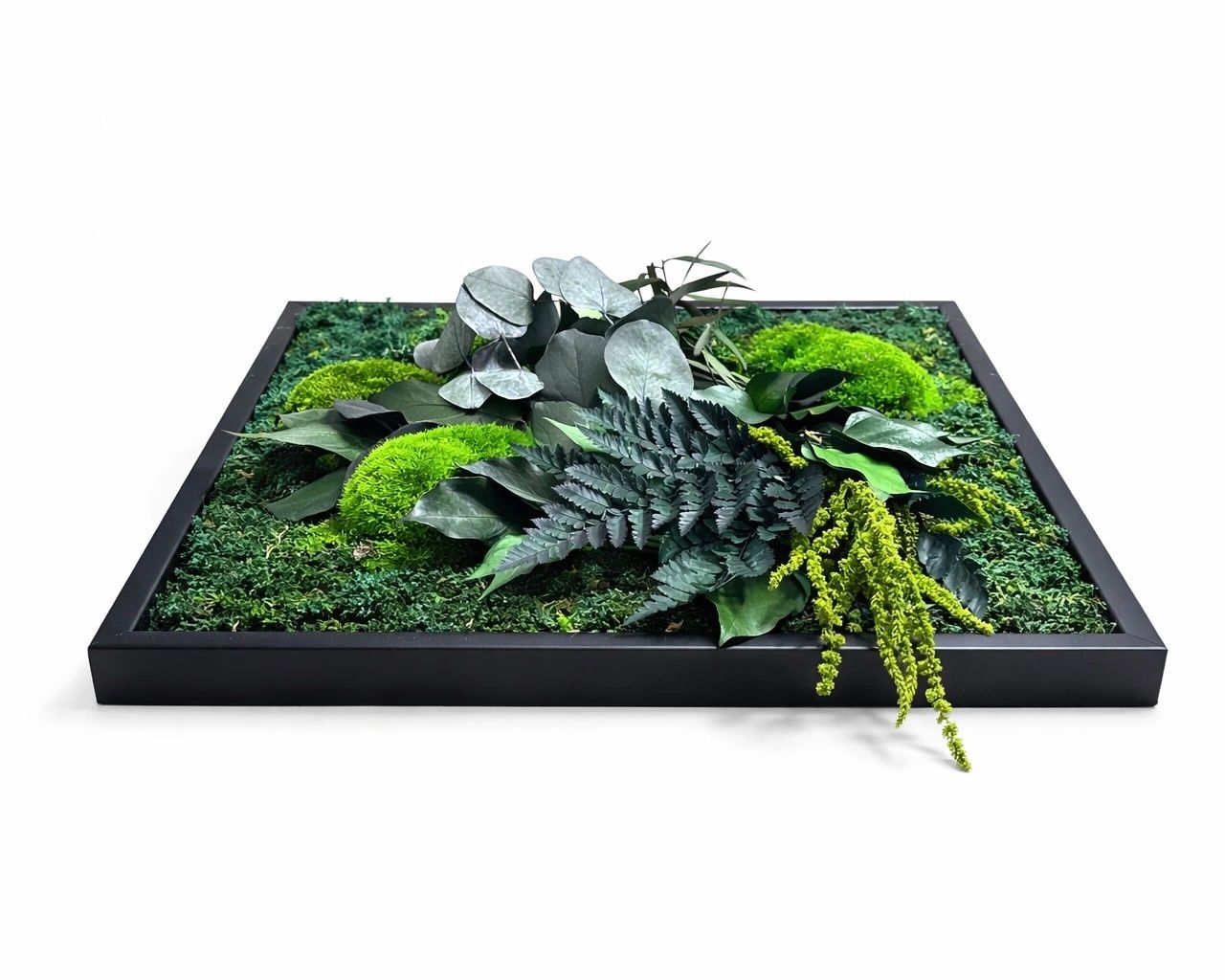 Toutes les décorations: tableau végétal naturel stabilisé – Neuf avec emballage d'origine à Montreux par jul_v6lh 3