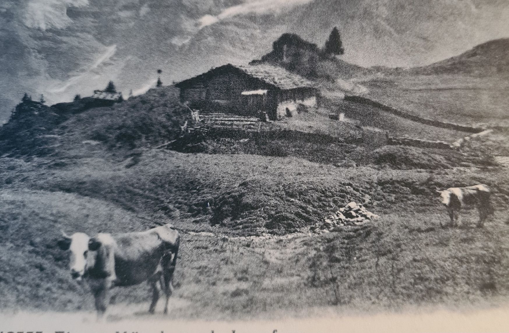 Cartoline postali: Alte Karte Eiger, Mönch und Jungfrau – Usato da Ebikon venduto da Donar50 1