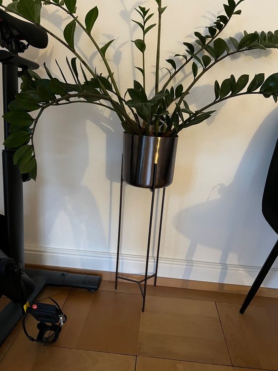 Depot Blumentopf Mit Stander