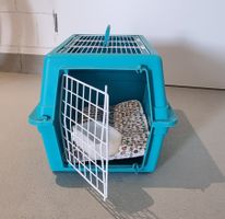 Katzentransportbox