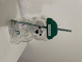 Starbucks Bär Becher Neu