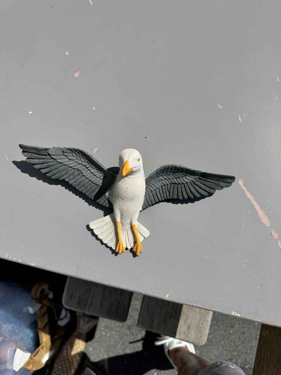 Figuren: Vogel Figur Möwe Dekoration Ornamente Garten – Gebraucht aus Wangen SZ von ang_vcw8