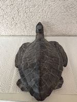 Sculpture tortue de mer en résine, bel état 