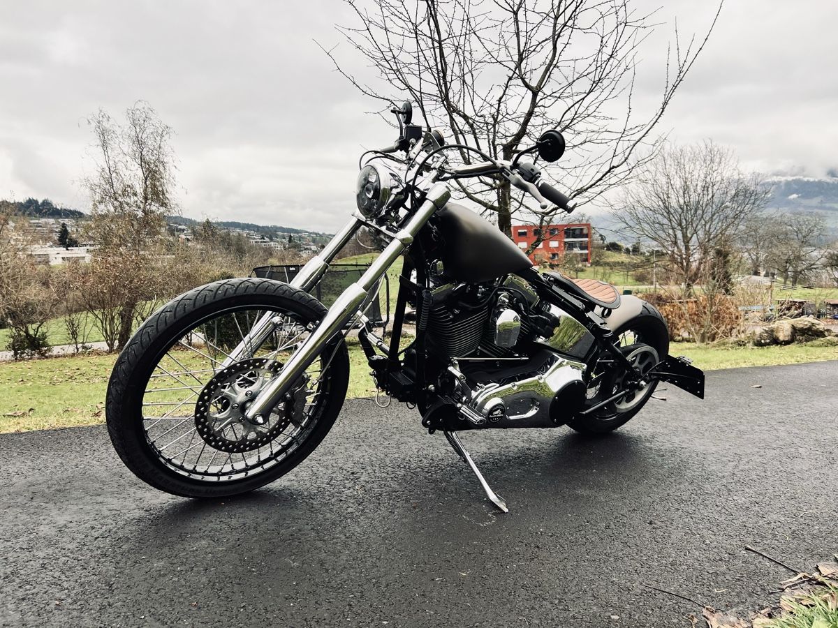 Harley-Davidson Chopper: 2001 Harley Davidson Softail Precision Bobber – Usato da Meggen venduto da PrecisionBobbers 5