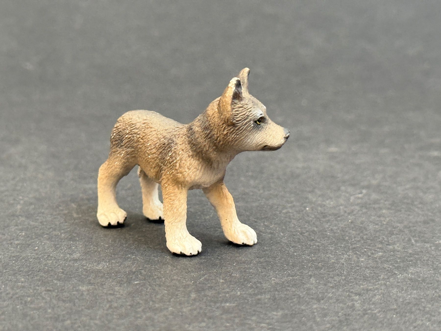 Schleich Statuette: Schleich Wolf Welpe Wölfe – Usato da Ennetbaden venduto da mapa05 3