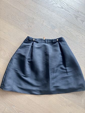 Ted baker skirt