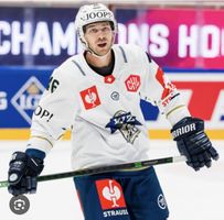 Original EVZ Helm Champions Hockey League#46 Lino Martschini