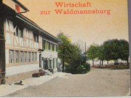 Aussicht v. Dübelstein gegen Greifensee , Wirtschaft 1968