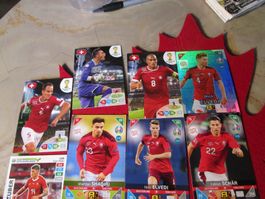 FUSSBALL NATI MANSCHAFT DIV PANINI KARTEN 15 STÜCK ANTIK