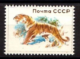 RUSSIA (USSR) 1960 Tiger - Probedruck - Essai - Dummy stamp