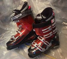 Skischuhe FISCHER PROGRESSOR 100 Gr 27.5 (Schuhgr. 42-43)