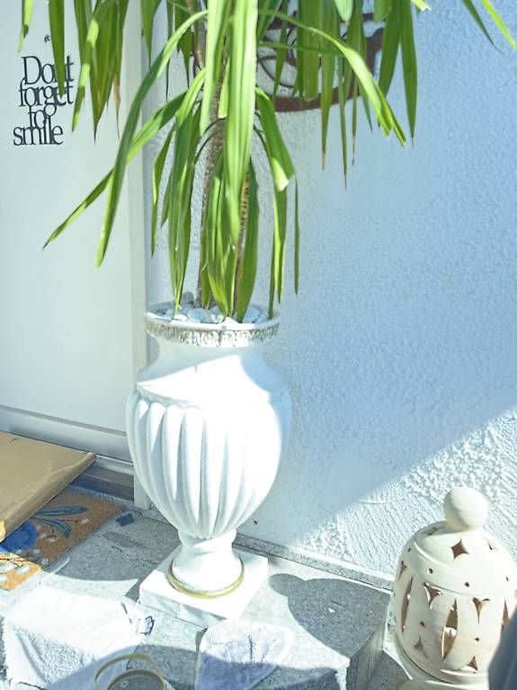 Vasen & Gefässe: pflanze mit römervase  – Gebraucht aus Adligenswil von balboa5