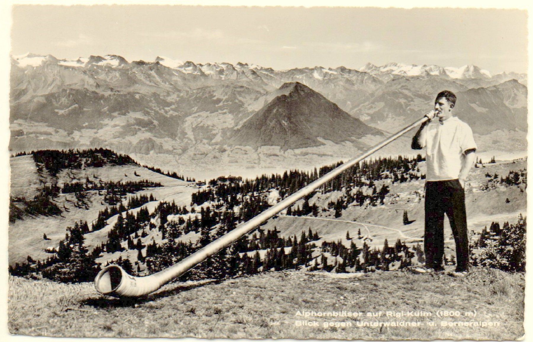 Cartoline postali: RIGI-KULM Alphornbläser - Stempel Hotel – Usato da Jona venduto da philajona