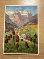 Alte Ansichtskarte mit Bergmotiv, beschrieben, Top!