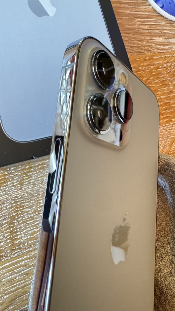 Apple Telefoni cellulari / Smartphones: iPhone 13 Pro Max, Sierra Blau, 512GB – Usato da Brienz BE venduto da shcul 5