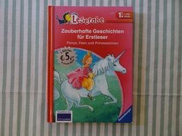 Leserabe - Zauberhafte Geschichten für Erstleser - B1045