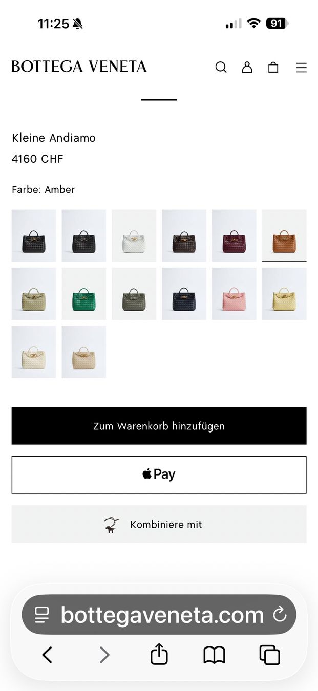 Bottega Veneta Borse: Andiamo Bag Small: Width: 25 cm/Height: 20 cm – Nuovo (secondo la descrizione) da Allschwil venduto da 197_r5w9 8