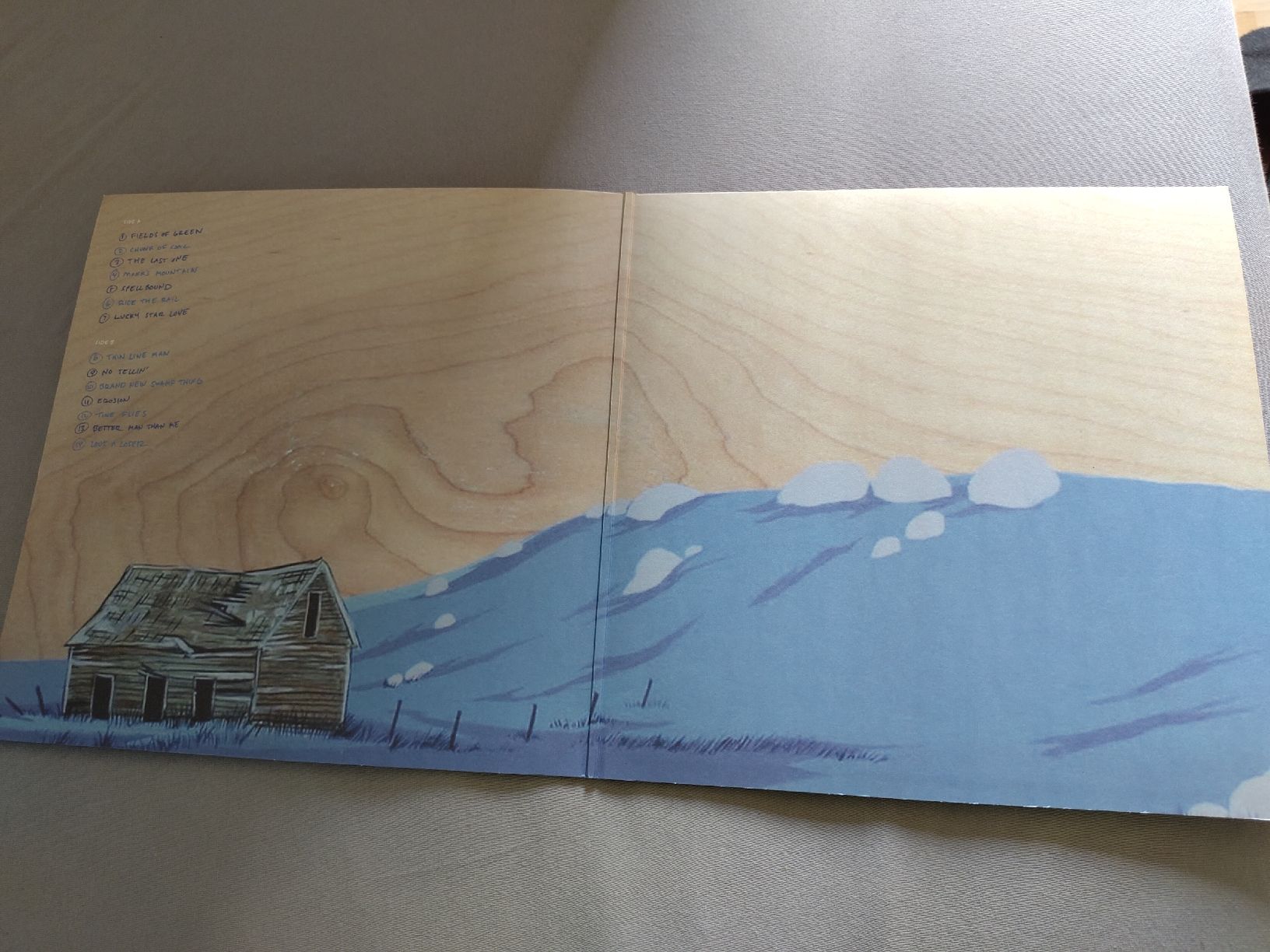 Dischi in vinile: Giant Sand - Blurry Blue Mountain LP – Usato da Büsserach venduto da Bey23 1