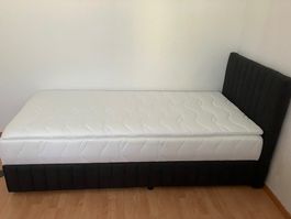 Boxbett Beetle mit grossem Bettkasten