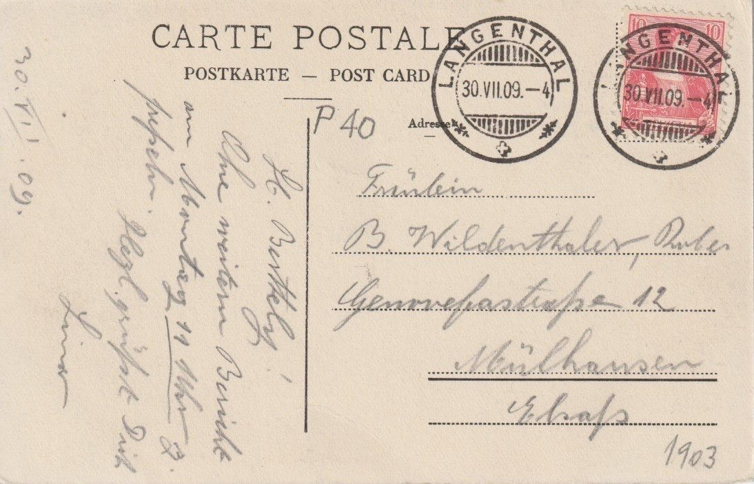 Cartoline postali: P 40 Langenthal, Damhirsch-Kolonie, 1909 – Usato da Freienbach venduto da Bhaltis 1