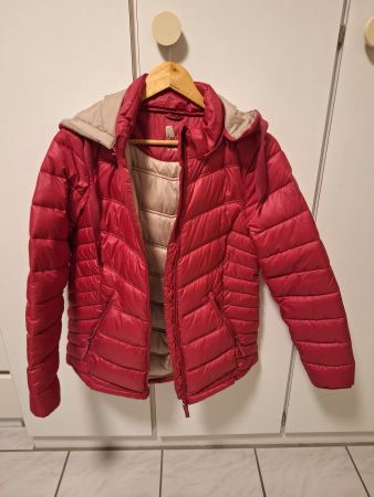 Jacke Damen Gr. 36 NEU
