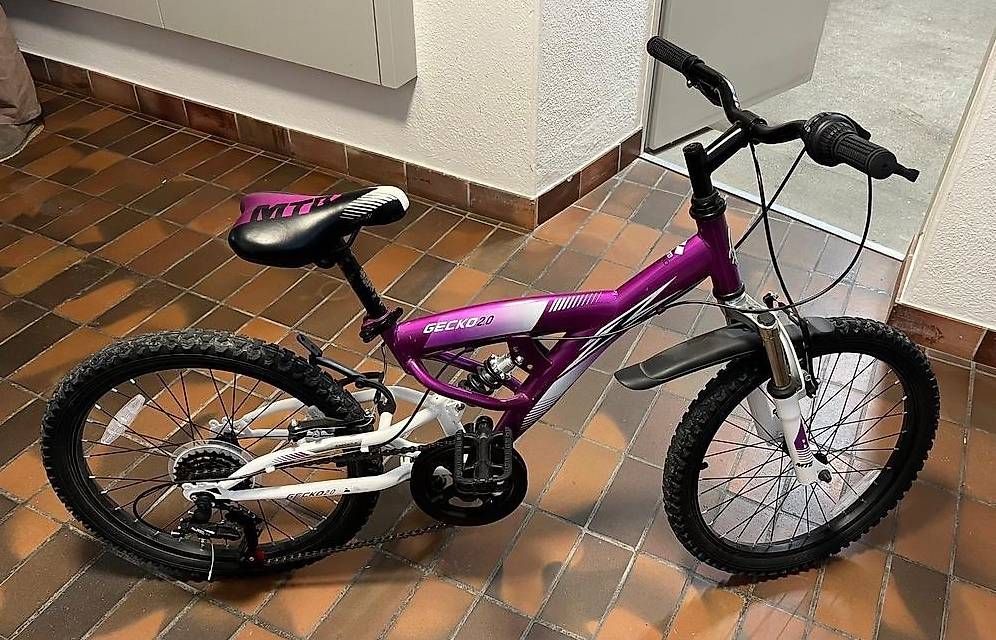 Vélos: Crossbike Gecko 2.0 – D'occasion à Zürich par Chandi