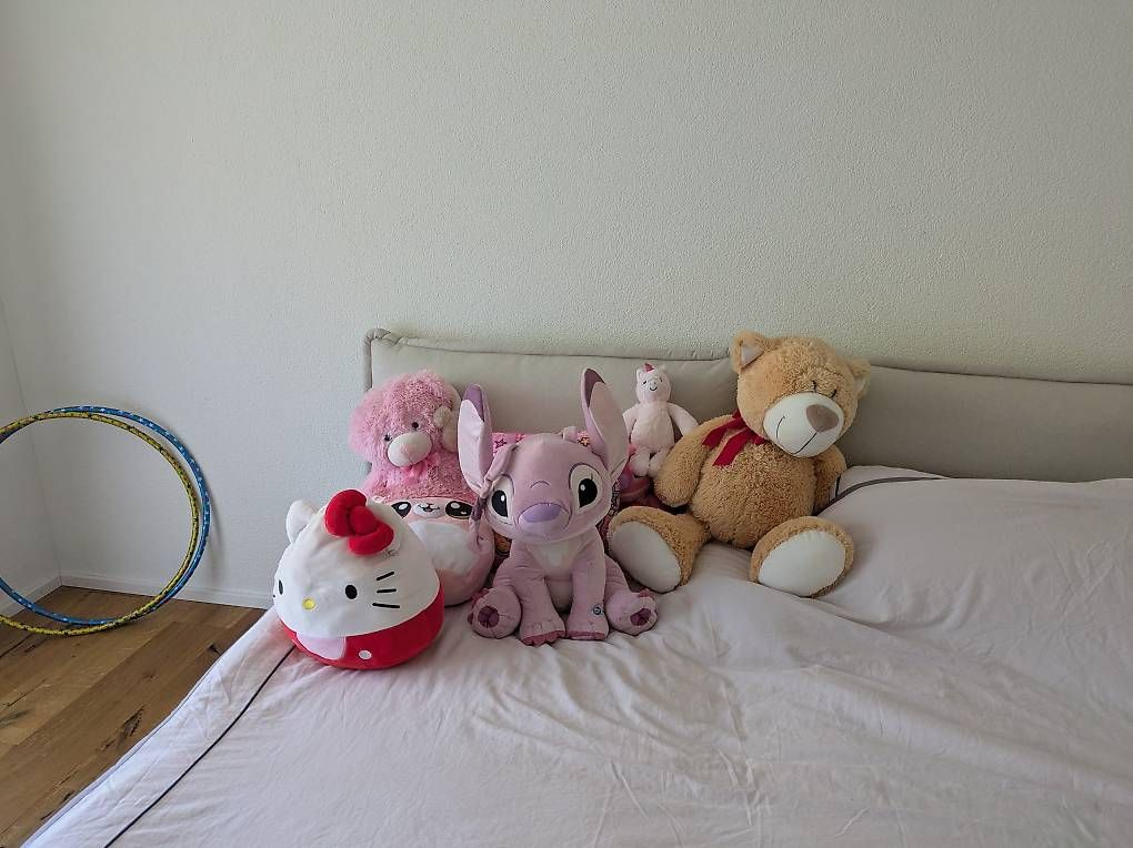 Jouets: Versch. Plüsch zu verschenken – D'occasion à Leibstadt par Mareli18 2