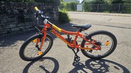 Mountainbike Scott Scale JR 20 Zoll