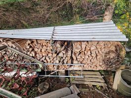 Brenholz gemischt fichte buche