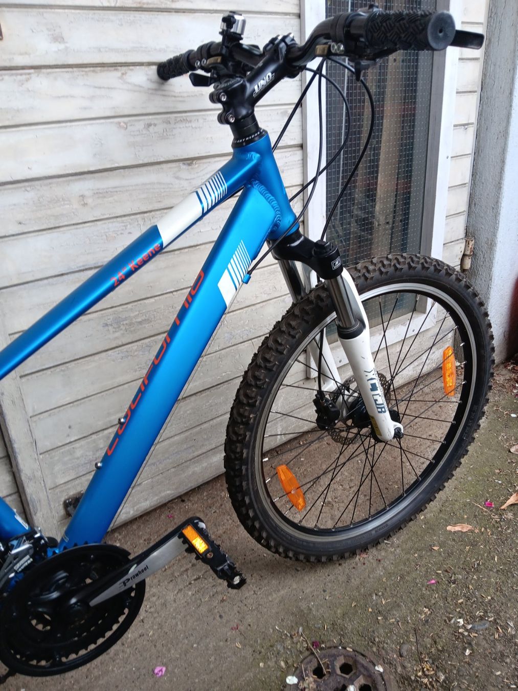 Biciclette: Velo CALIFORNIA KEENE 24 – Usato da Dietikon venduto da Sauber64 5
