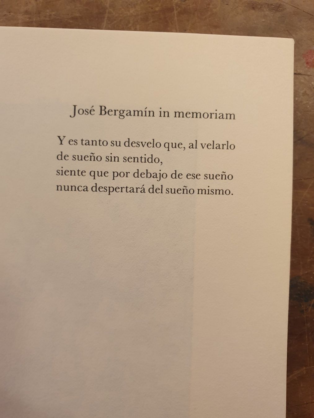 Bücher: Idee und Prosa - Giorgio Agamben - Hanser – Gebraucht aus Zürich von loosebone 4