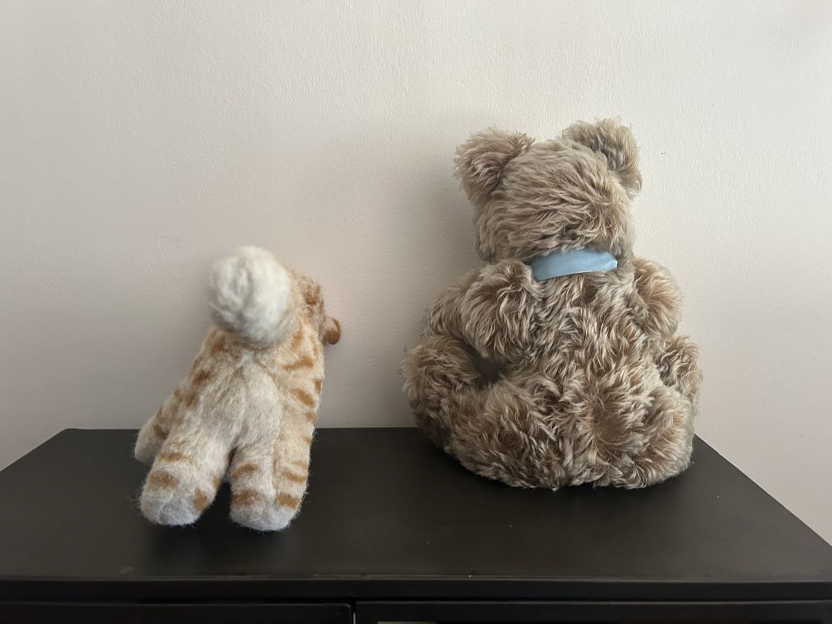 Steiff Jouets: 2 Steiff Tiere Katze und Bär  – D'occasion à Hochfelden par larson27 2