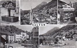 SALVAN, en 5 vues