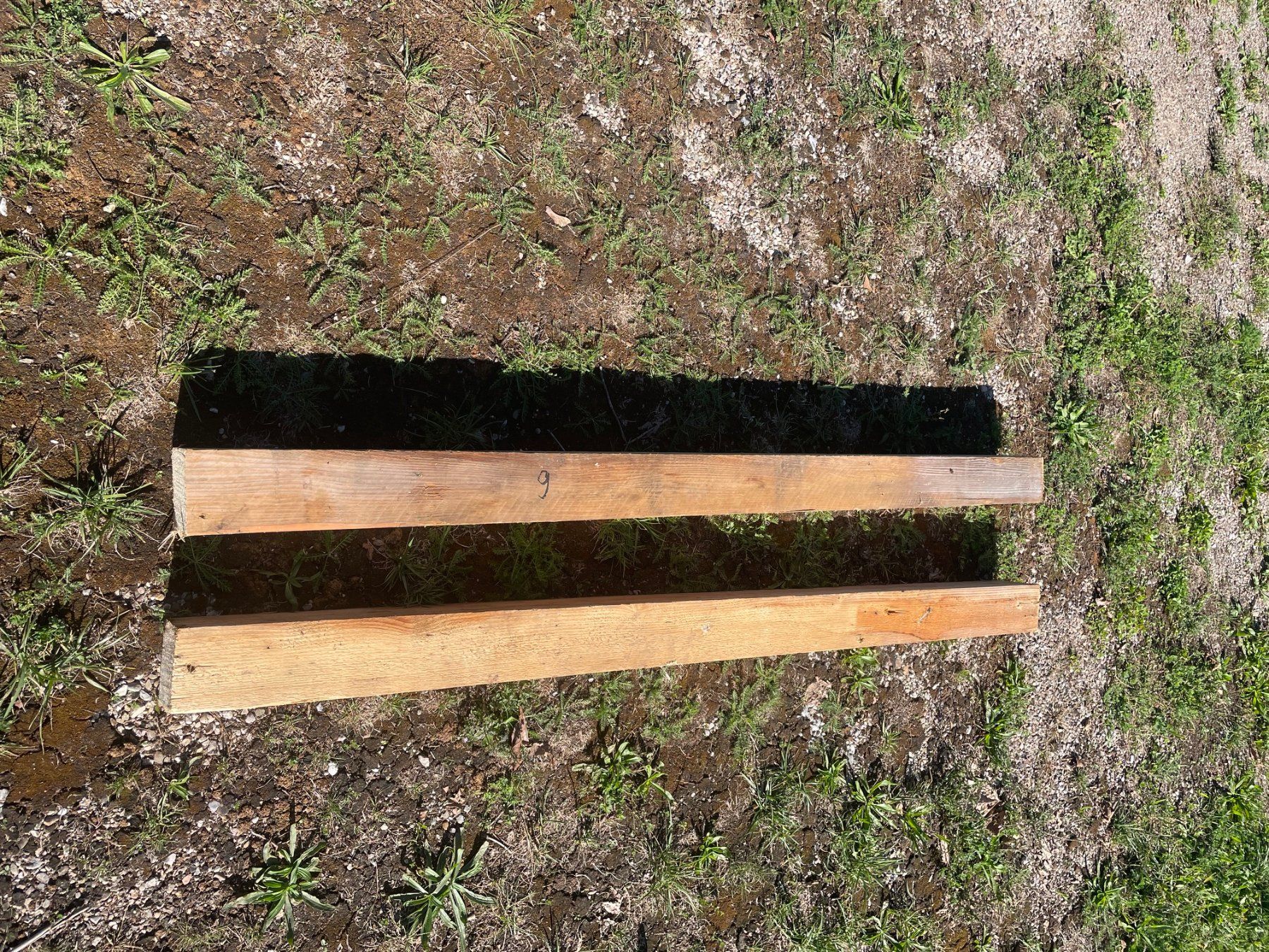 Articoli in legno: Kanthölzer ca. 97 x 97 mm, ca 166 cm lang. – Usato da Tann venduto da rodeo22 4